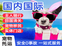 白云航空物流国际宠物托运 【国